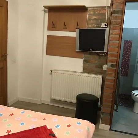 Guest house Brutarilor